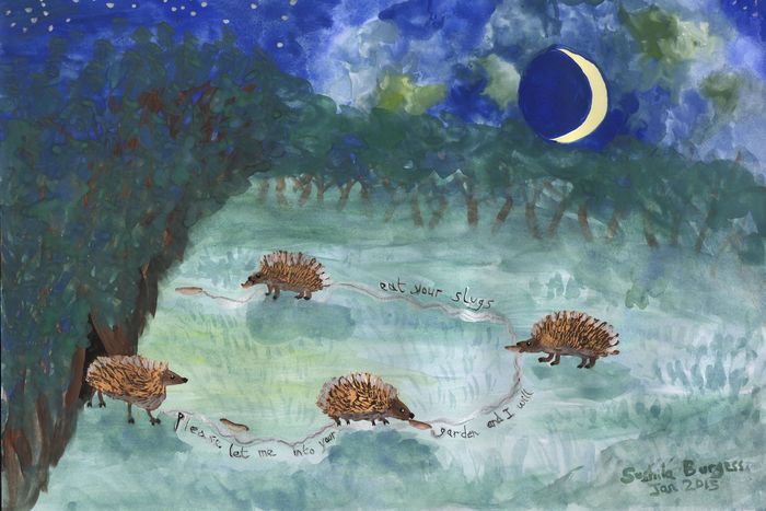 Hedgehogs Eating Slugs painting